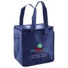 Lunch Tote  Insulated Thumbnail