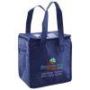 Lunch Tote  Insulated Thumbnail