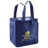 Lunch Tote  Insulated Thumbnail