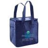 Lunch Tote  Insulated Thumbnail