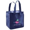 Lunch Tote  Insulated Thumbnail