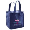 Lunch Tote  Insulated Thumbnail