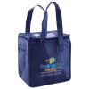Lunch Tote  Insulated Thumbnail