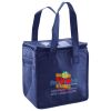 Lunch Tote  Insulated Thumbnail