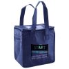 Lunch Tote  Insulated Thumbnail