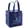 Lunch Tote  Insulated Thumbnail