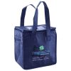 Lunch Tote  Insulated Thumbnail