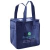 Lunch Tote  Insulated Thumbnail