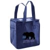 Lunch Tote  Insulated Thumbnail