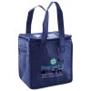 Lunch Tote  Insulated Thumbnail