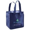 Lunch Tote  Insulated Thumbnail