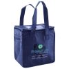 Lunch Tote  Insulated Thumbnail