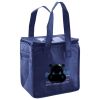 Lunch Tote  Insulated Thumbnail