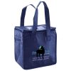 Lunch Tote  Insulated Thumbnail
