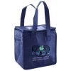 Lunch Tote  Insulated Thumbnail