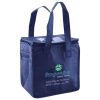 Lunch Tote  Insulated Thumbnail