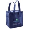 Lunch Tote  Insulated Thumbnail