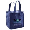 Lunch Tote  Insulated Thumbnail