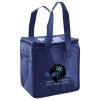 Lunch Tote  Insulated Thumbnail