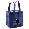 Lunch Tote  Insulated Thumbnail