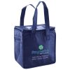 Lunch Tote  Insulated Thumbnail