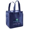 Lunch Tote  Insulated Thumbnail