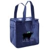 Lunch Tote  Insulated Thumbnail