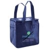 Lunch Tote  Insulated Thumbnail