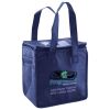 Lunch Tote  Insulated Thumbnail