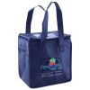 Lunch Tote  Insulated Thumbnail