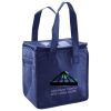 Lunch Tote  Insulated Thumbnail