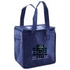 Lunch Tote  Insulated Thumbnail