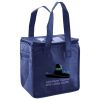 Lunch Tote  Insulated Thumbnail