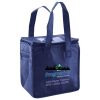 Lunch Tote  Insulated Thumbnail