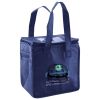Lunch Tote  Insulated Thumbnail