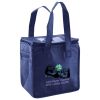 Lunch Tote  Insulated Thumbnail