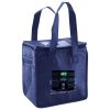 Lunch Tote  Insulated Thumbnail