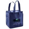 Lunch Tote  Insulated Thumbnail