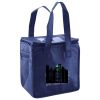Lunch Tote  Insulated Thumbnail