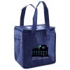 Lunch Tote  Insulated Thumbnail