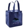 Lunch Tote  Insulated Thumbnail