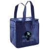 Lunch Tote  Insulated Thumbnail