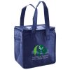 Lunch Tote  Insulated Thumbnail