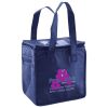 Lunch Tote  Insulated Thumbnail