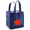 Lunch Tote  Insulated Thumbnail