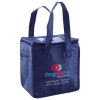 Lunch Tote  Insulated Thumbnail