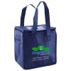 Lunch Tote  Insulated Thumbnail