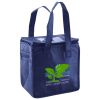 Lunch Tote  Insulated Thumbnail