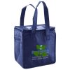 Lunch Tote  Insulated Thumbnail