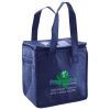 Lunch Tote  Insulated Thumbnail